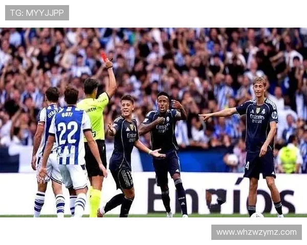 阿尔梅里亚全队四人被罚下球员怒斥裁判称你们把比赛彻底搞乱